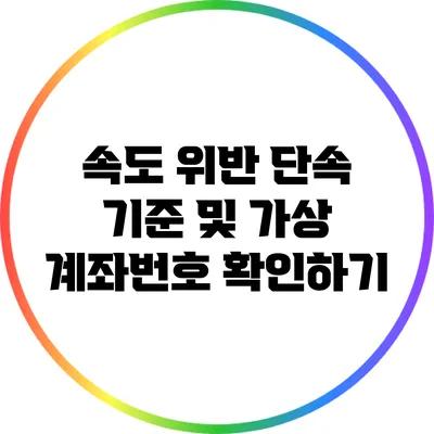 속도 위반 단속 기준 및 가상 계좌번호 확인하기