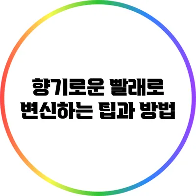 향기로운 빨래로 변신하는 팁과 방법