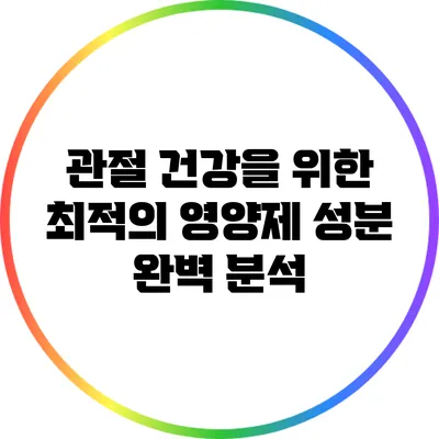 관절 건강을 위한 최적의 영양제 성분 완벽 분석