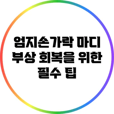 엄지손가락 마디 부상 회복을 위한 필수 팁