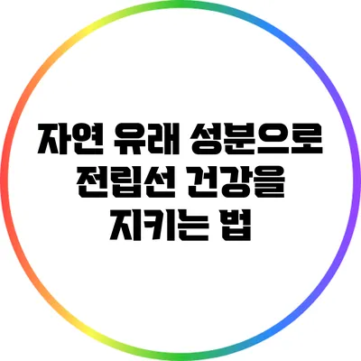 자연 유래 성분으로 전립선 건강을 지키는 법