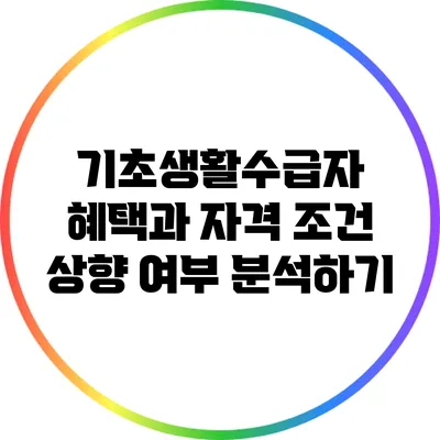 기초생활수급자 혜택과 자격 조건 상향 여부 분석하기
