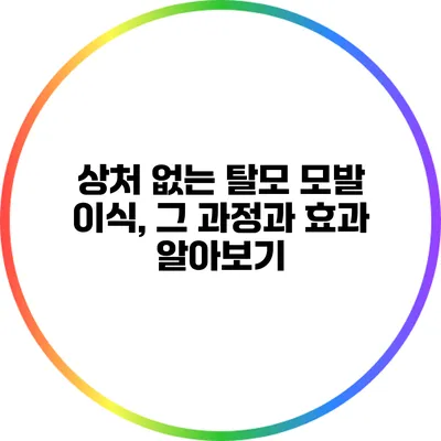 상처 없는 탈모 모발 이식, 그 과정과 효과 알아보기