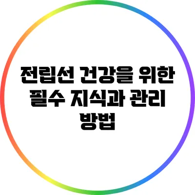 전립선 건강을 위한 필수 지식과 관리 방법