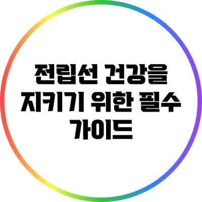 전립선 건강을 지키기 위한 필수 가이드