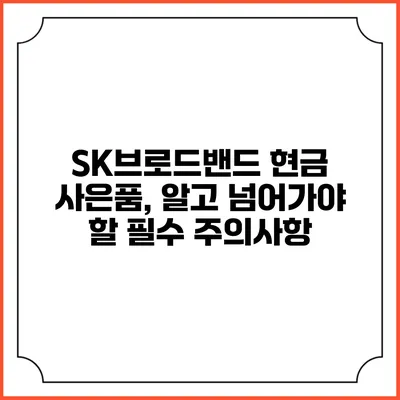 SK브로드밴드 현금 사은품, 알고 넘어가야 할 필수 주의사항