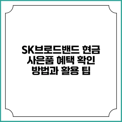 SK브로드밴드 현금 사은품 혜택 확인 방법과 활용 팁