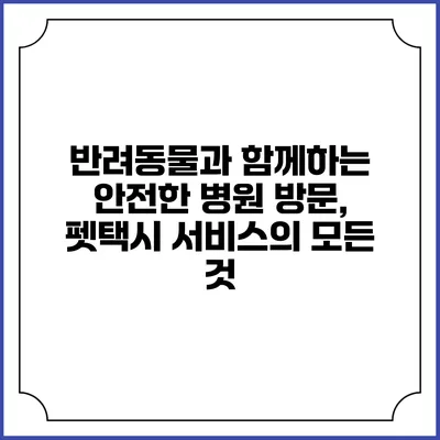 반려동물과 함께하는 안전한 병원 방문, 펫택시 서비스의 모든 것