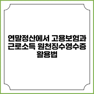 연말정산에서 고용보험과 근로소득 원천징수영수증 활용법