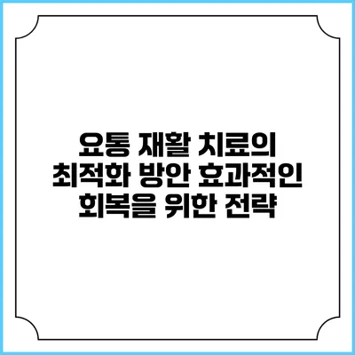 요통 재활 치료의 최적화 방안: 효과적인 회복을 위한 전략