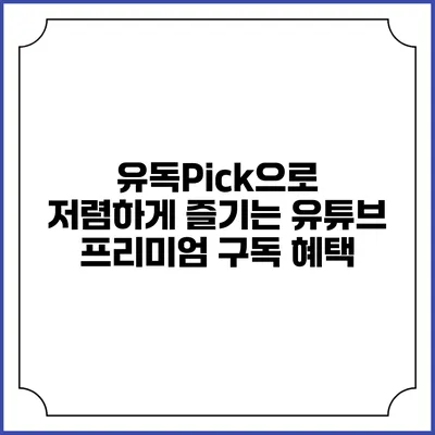 유독Pick으로 저렴하게 즐기는 유튜브 프리미엄 구독 혜택