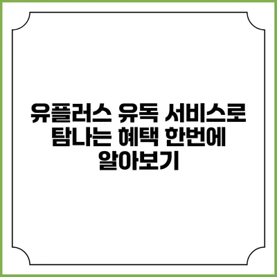 유플러스 유독 서비스로 탐나는 혜택 한번에 알아보기