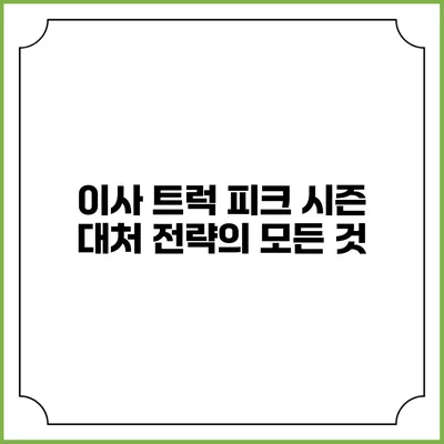 이사 트럭 피크 시즌 대처 전략의 모든 것