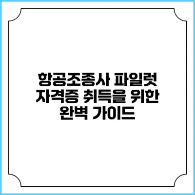 항공조종사 파일럿 자격증 취득을 위한 완벽 가이드