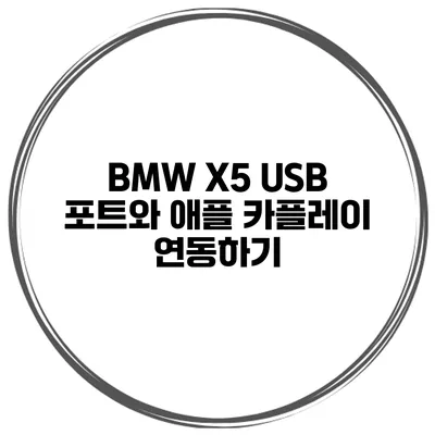 BMW X5 USB 포트와 애플 카플레이 연동하기