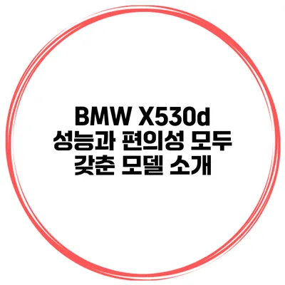 BMW X530d 성능과 편의성 모두 갖춘 모델 소개