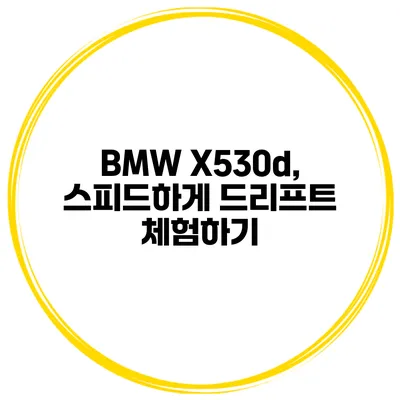 BMW X530d, 스피드하게 드리프트 체험하기