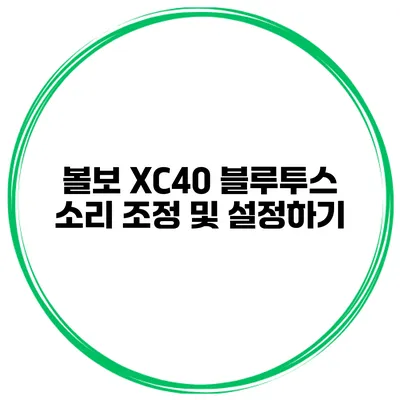 볼보 XC40 블루투스 소리 조정 및 설정하기