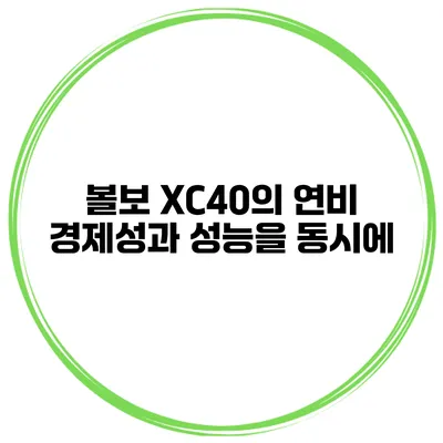 볼보 XC40의 연비 경제성과 성능을 동시에