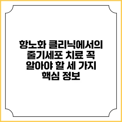 항노화 클리닉에서의 줄기세포 치료: 꼭 알아야 할 세 가지 핵심 정보